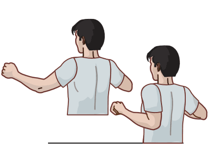 image of diagram for shoulder blade pull exercise