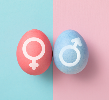 اختلاف أعراض الحمل حسب جنس الجنين  