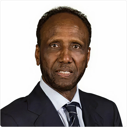 Abdulkadir A. Salhan