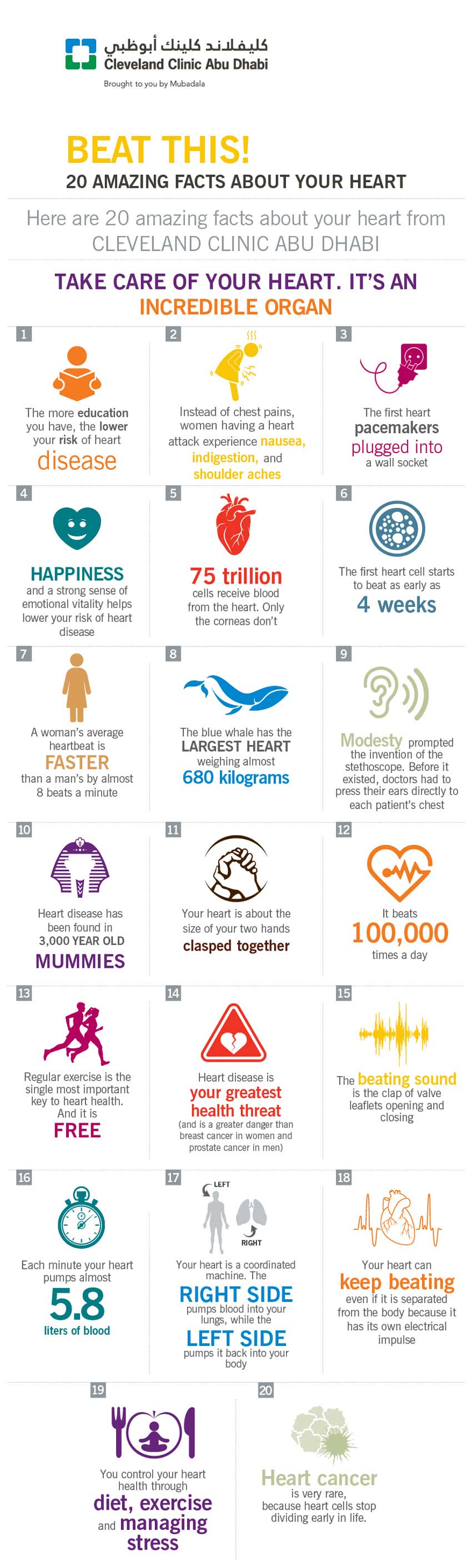 Get to know your heart better with these amazing facts.