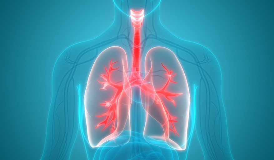 12 Essential Lung Cancer Facts