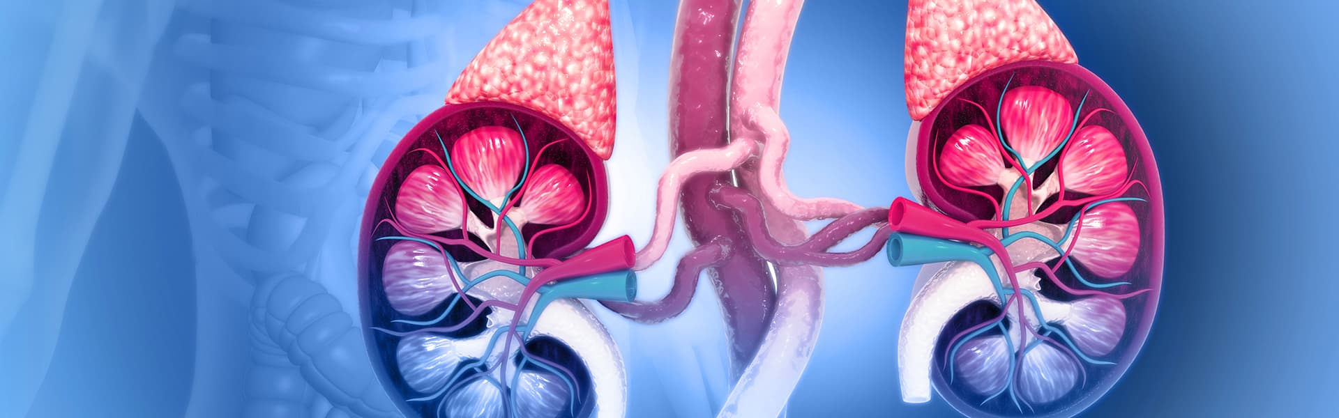 برنامج علاج سرطان الغدة الكظرية