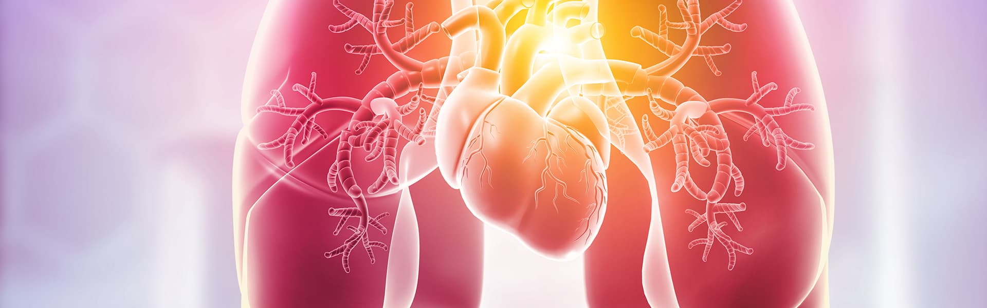 Cardiac Tumors Program