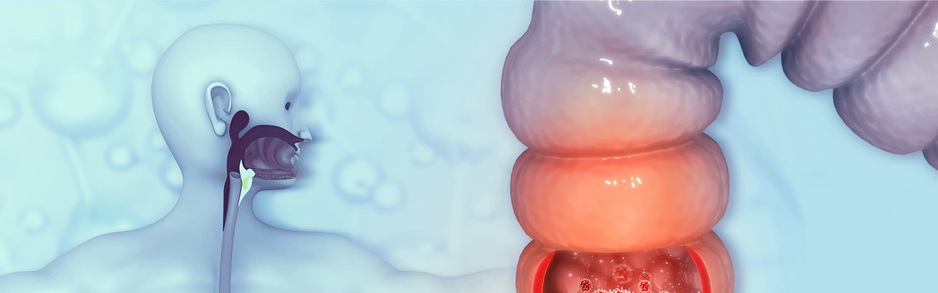 برنامج علاج سرطان القولون والمستقيم