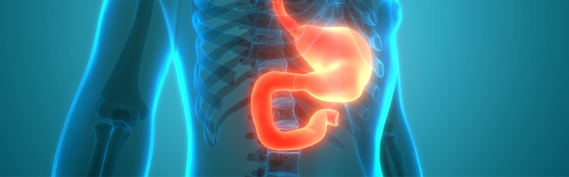Esophageal and Stomach Cancer Program