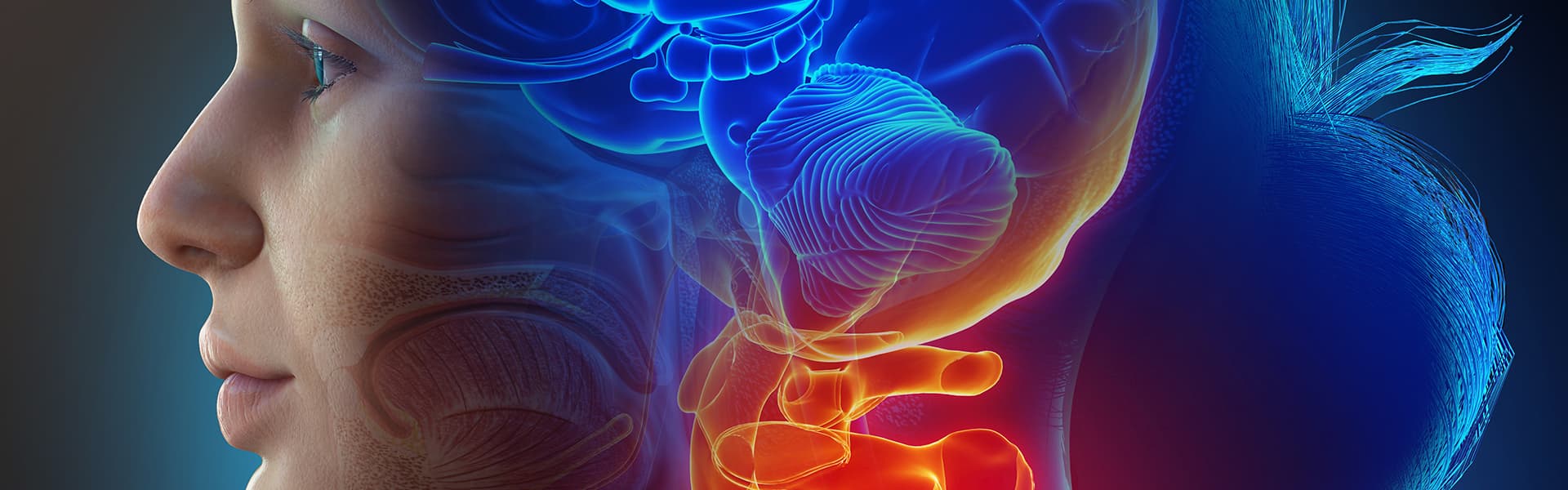 برنامج علاج سرطان الرأس والرقبة