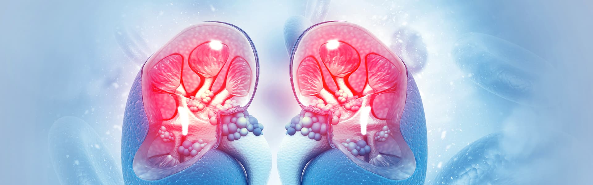 برنامج علاج سرطان الكلية
