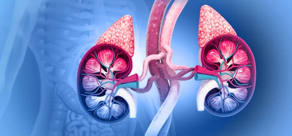 Adrenal Cancer Program