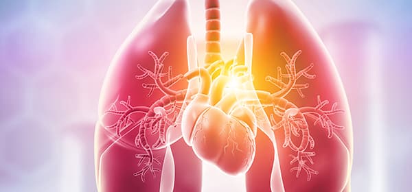 Cervical Cancer Program