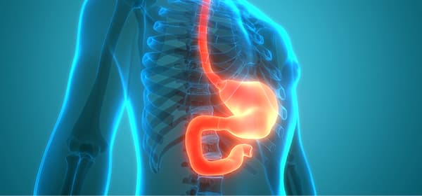 Esophageal and Stomach Cancer Program