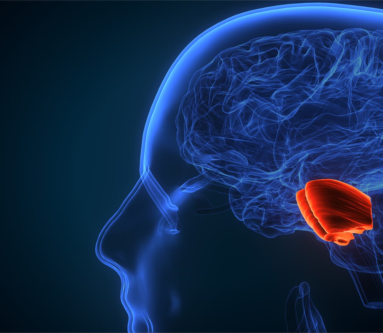 Pituitary Tumors Program