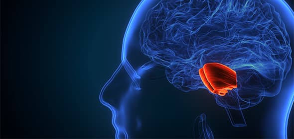 Pituitary Tumors Program