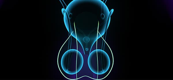 Testicular Cancer Program