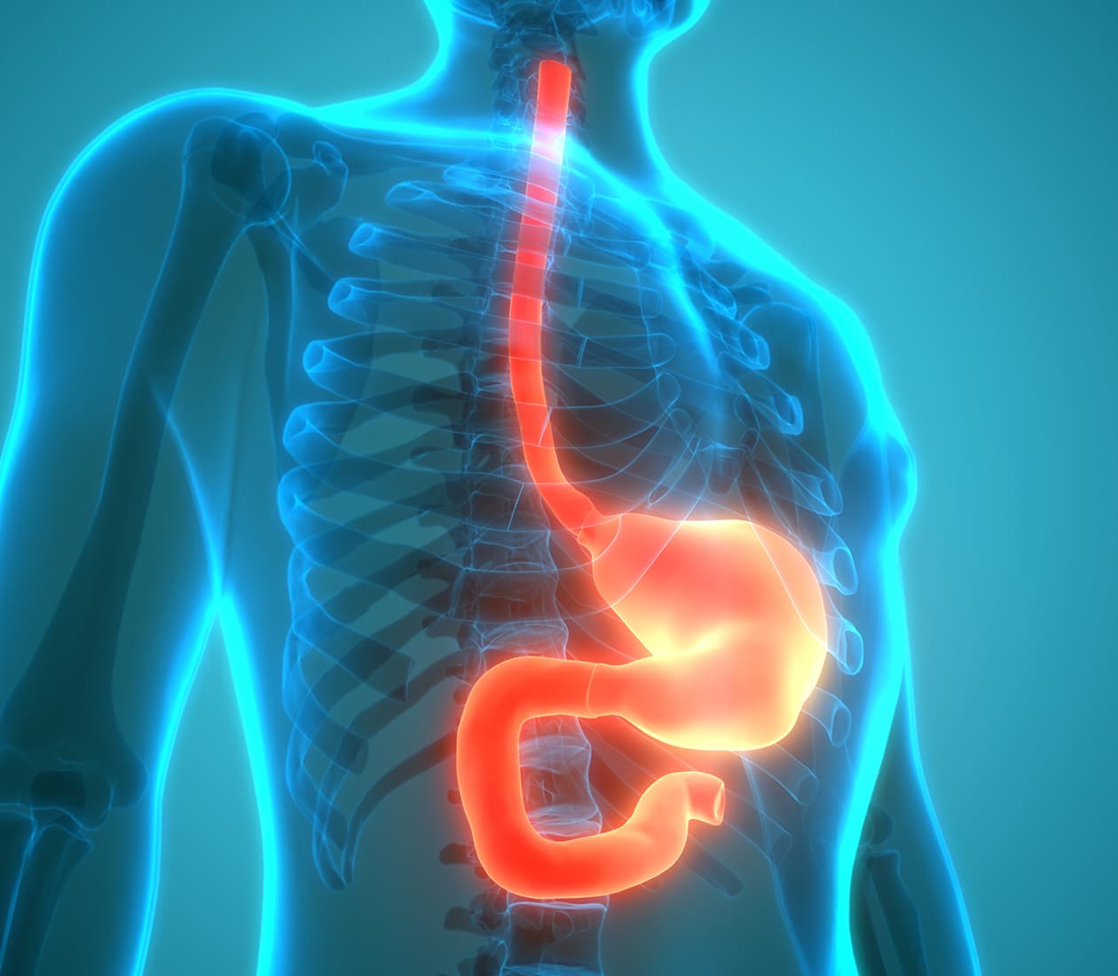 Esophageal and Stomach Cancer Program