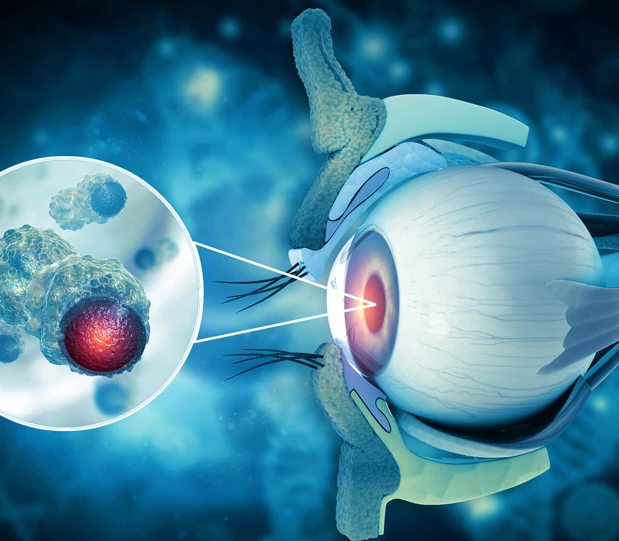 Colorectal Cancer Program