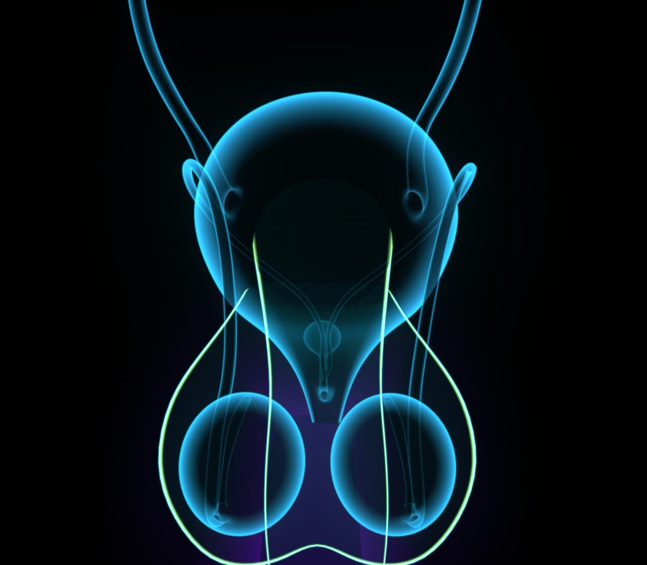 Testicular Cancer Program