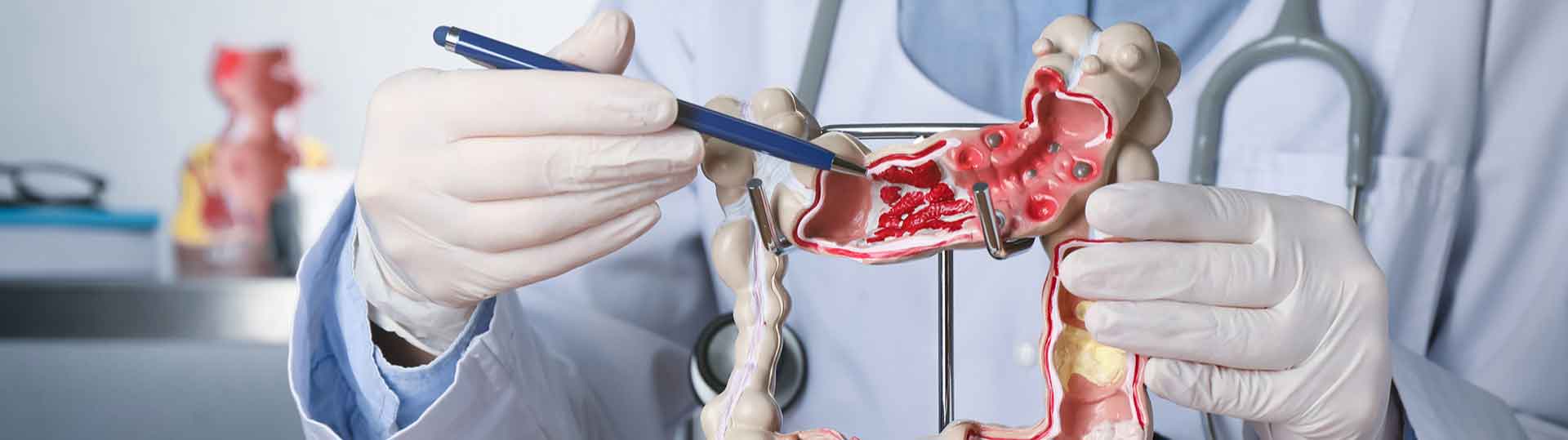 Liver Cancer Program