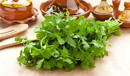 image of leaf vegetable