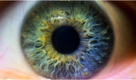 ما هو الاستجماتيزم؟