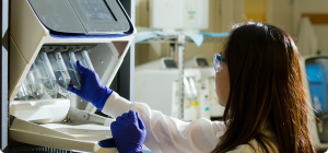 Diagnostics ＆ Testing