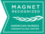 Magnet